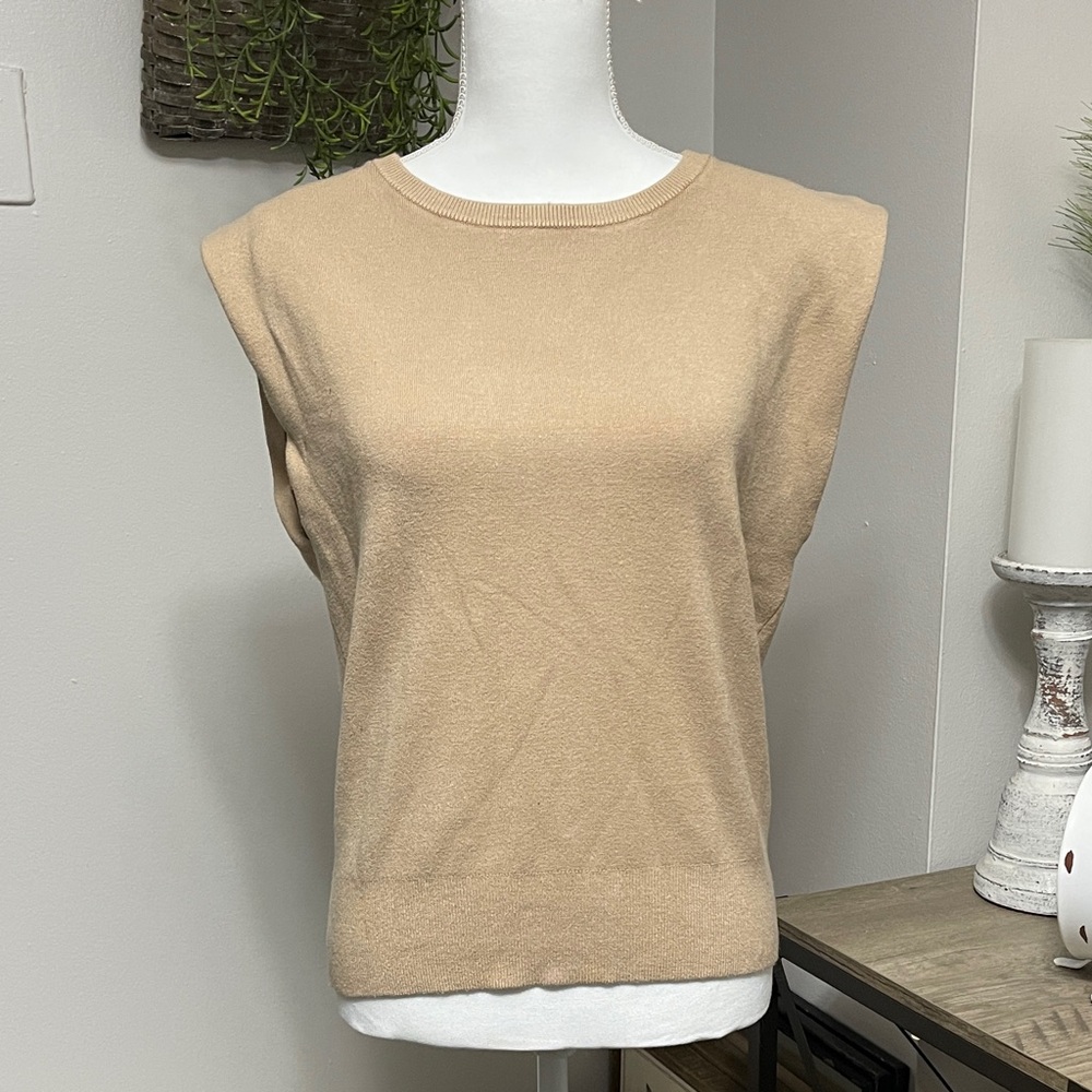 Express Tan Knit Sleeveless Sweater